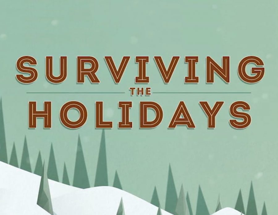 Holiday+Zombie+Survival+Guide%3A+For+Teens