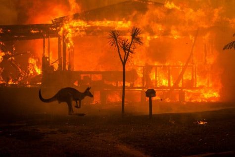 Australia has not Reacted Properly to Climate Change, and Everyone Knows It