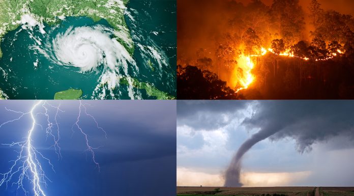 Natural Disasters in 2024 and what to Expect in 2025